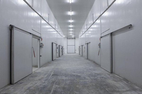 Técnico de reparacionesbilbao.com realizando el mantenimiento de una central de frío industrial